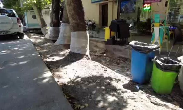بازسازی نهر باغچه خیابان ولیعصر (عج) با اولویت حفظ درختان چنار کهنسال