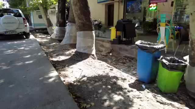 بازسازی نهر باغچه خیابان ولیعصر (عج) با اولویت حفظ درختان چنار کهنسال