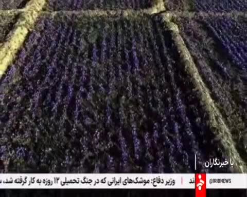 زعفران ایرانی از مسیر بورس کالا وارد دنیای بلاک چین می شود
